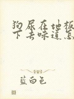 狗尿在地板上渗下去味道怎么去除