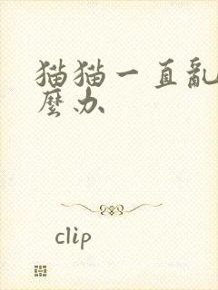 猫猫一直乱尿怎么办