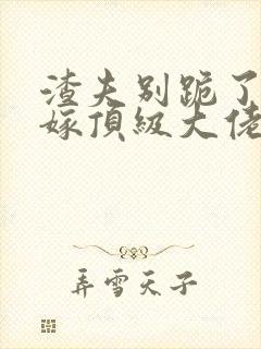 渣夫别跪了夫人嫁顶级大佬显怀了免费