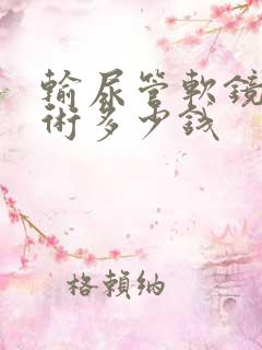 输尿管软镜排石术多少钱