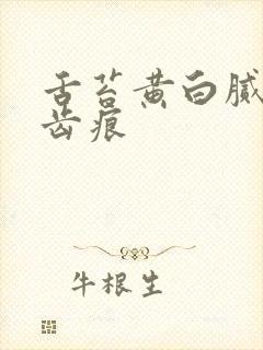 舌苔黄白腻厚有齿痕