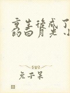 重生后成了太子的白月光 小说