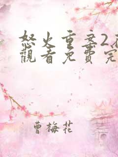 怒火重案2在线观看免费完整版