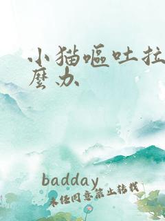 小猫呕吐拉稀怎么办