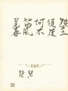 羌笛何须怨杨柳春风不度玉门关表达的