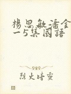 杨思敏潘金莲1一5集国语
