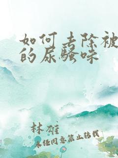 如何去除被褥上的尿骚味