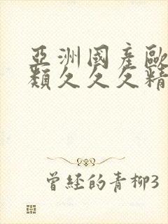 亚洲国产欧美另类久久久精品