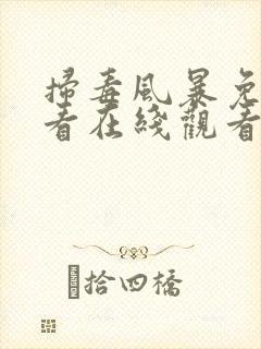 扫毒风暴免费观看在线观看