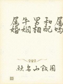 属牛男和属龙女婚姻相配吗