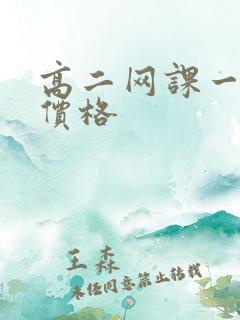 高二网课一对一价格