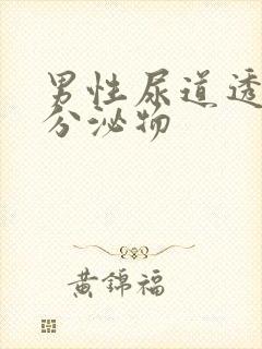 男性尿道透明状分泌物