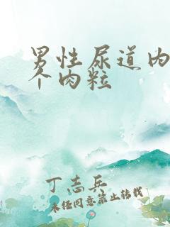 男性尿道内侧长个肉粒