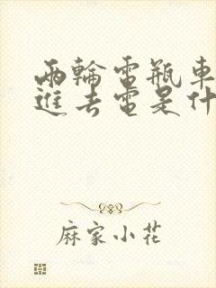 两轮电瓶车充不进去电是什么原因