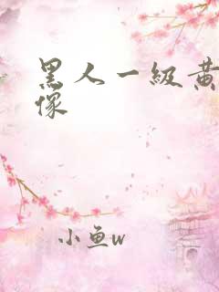 黑人一级黄色录像