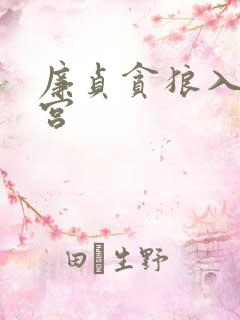 廉贞贪狼入夫妻宫