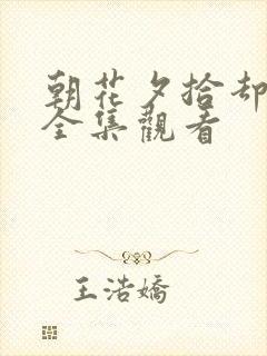 朝花夕拾却已迟全集观看