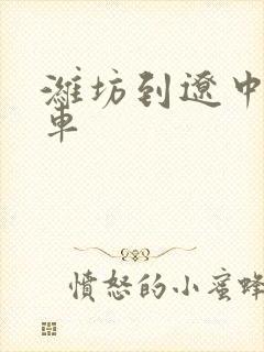 潍坊到辽中大巴车