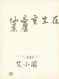 仙帝重生在都市叶尘