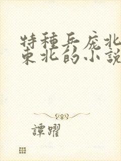 特种兵庞北穿越东北的小说