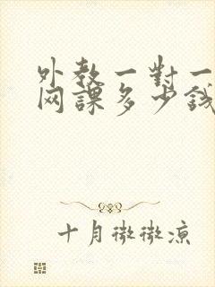 外教一对一口语网课多少钱