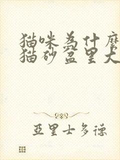 猫咪为什么不在猫砂盆里大小便