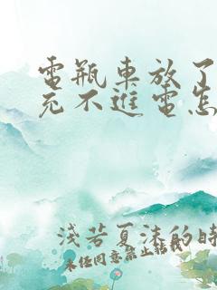 电瓶车放了一年充不进电怎么办