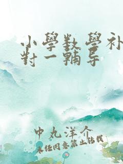 小学数学补习一对一辅导