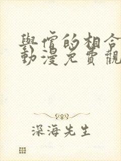 与僧的相合之夜动漫免费观看完整版