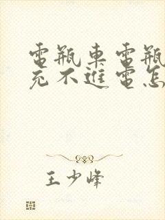 电瓶车电瓶亏电充不进电怎么修复