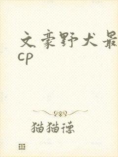 文豪野犬最火的cp
