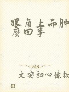 眼角上面肿了怎么回事