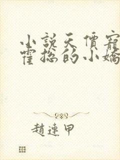 小说天价宠婚:霍总的小娇妻