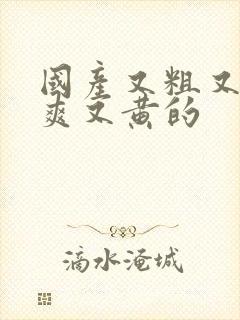 国产又粗又猛又爽又黄的