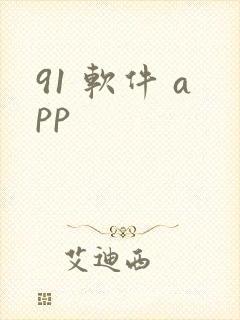 91 软件 app