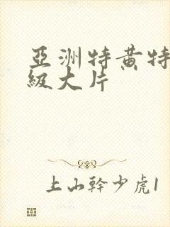 亚洲特黄特黄一级大片