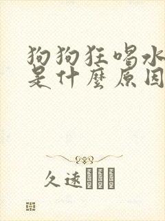 狗狗狂喝水尿频是什么原因造成的