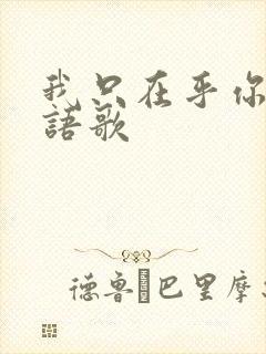 我只在乎你的日语歌