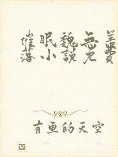 催眠魏无羡的堕落小说免费阅读