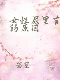 女性尿里有泡沫的原因