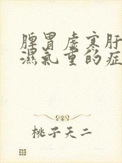 脾胃虚寒肝火旺湿气重的症状