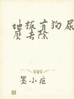 地板有狗尿味怎么去除