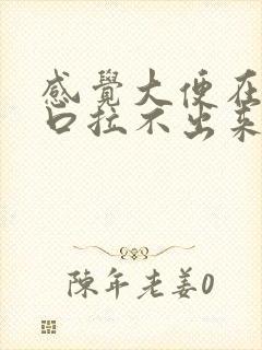 感觉大便在肛门口拉不出来是什么原因