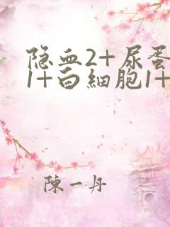 隐血2+尿蛋白1+白细胞1+