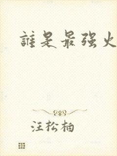 谁是最强火影