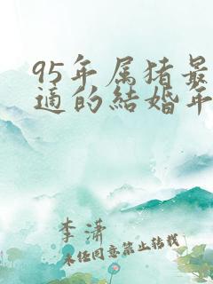 95年属猪最合适的结婚年纪