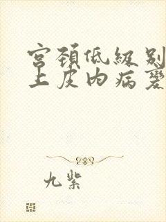 宫颈低级别鳞状上皮内病变是什么意思