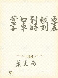 营口到鲅鱼圈的客车时刻表