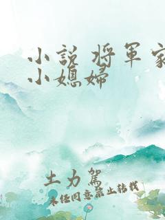 小说 将军家的小媳妇