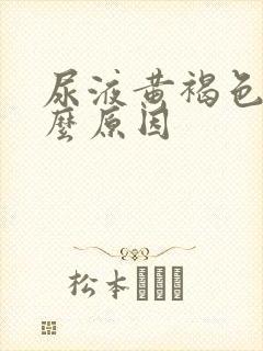 尿液黄褐色是什么原因